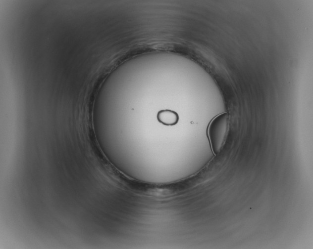 X0000112080748200908041010
