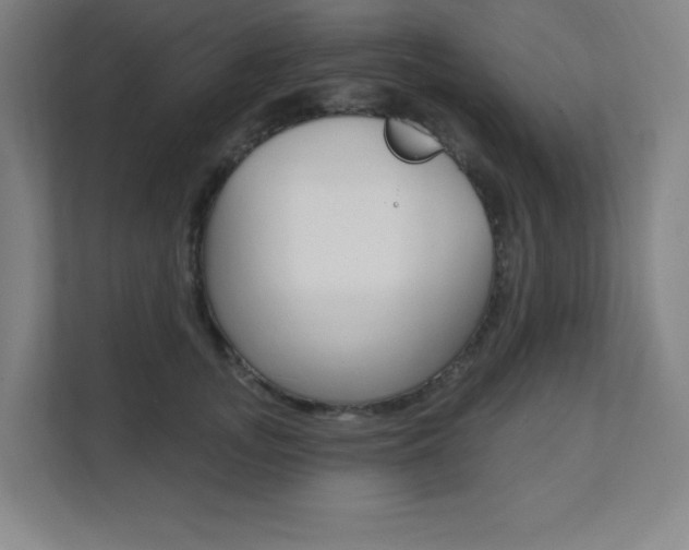X0000112080755200908041010