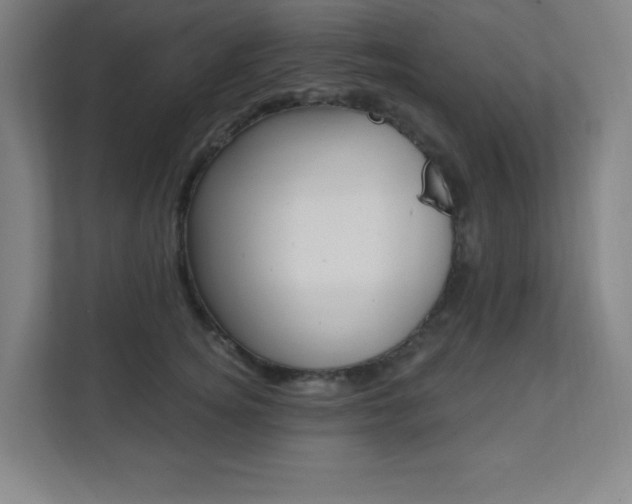 X0000112080756200908041010