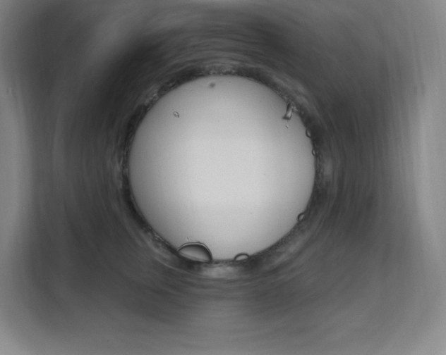 X0000112080759200908041010