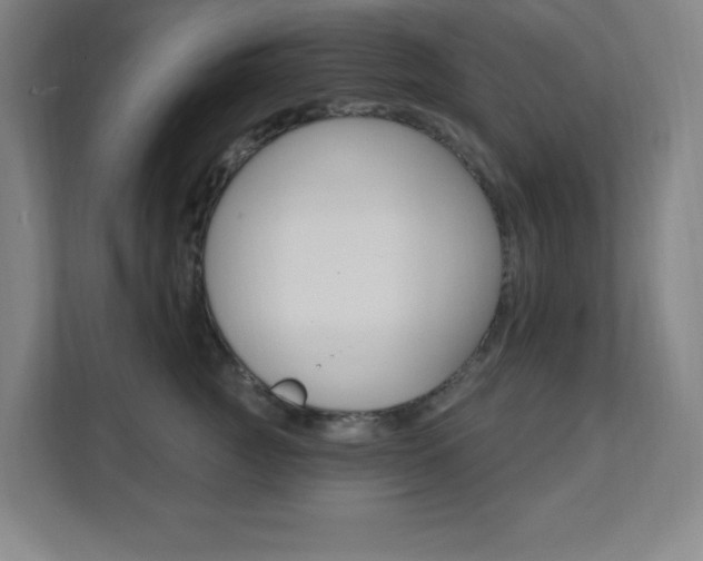 X0000112080761200908041010