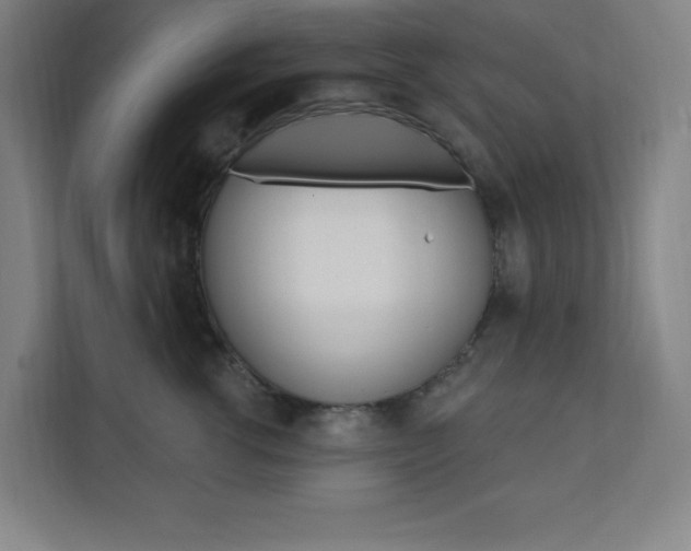 X0000112080762200908041010