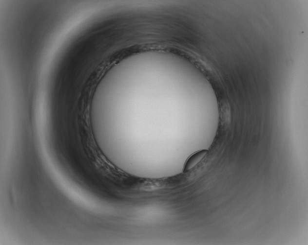 X0000112080764200908041010