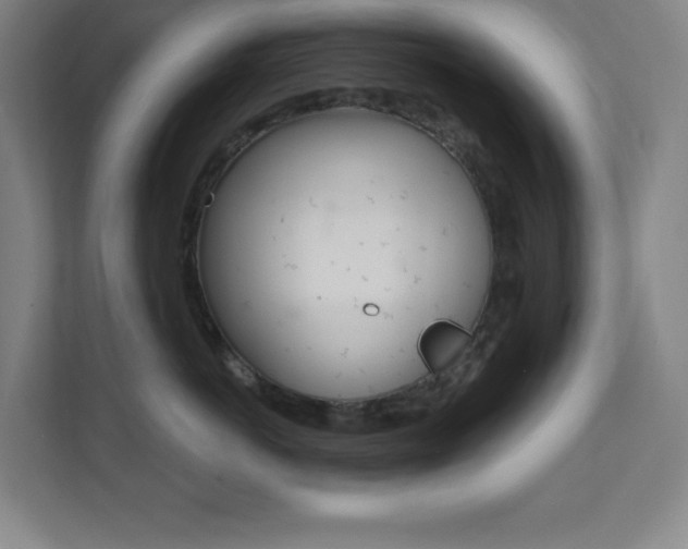 X0000112080766200908041010