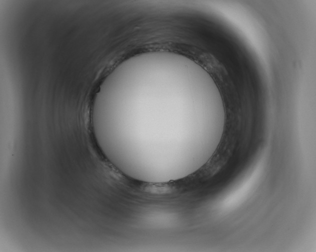 X0000112080767200908041010