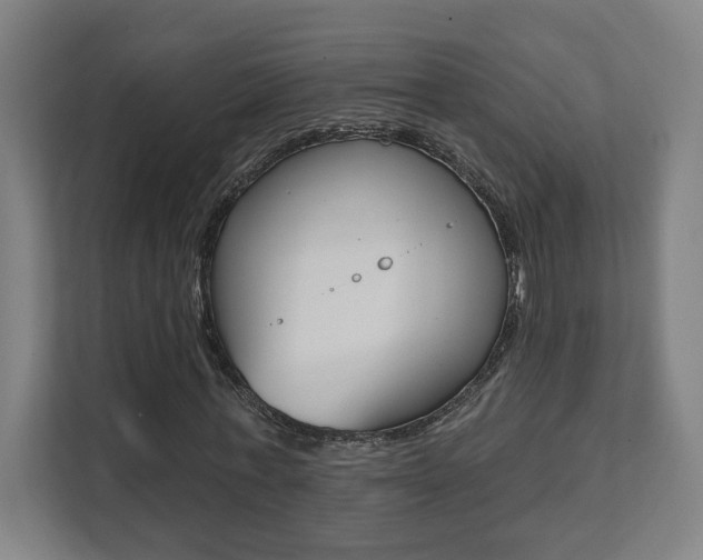 X0000112080771200908041010