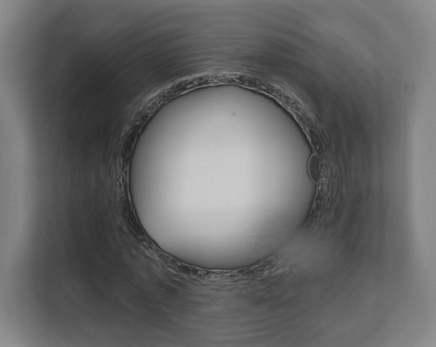 X0000112080773200908041010