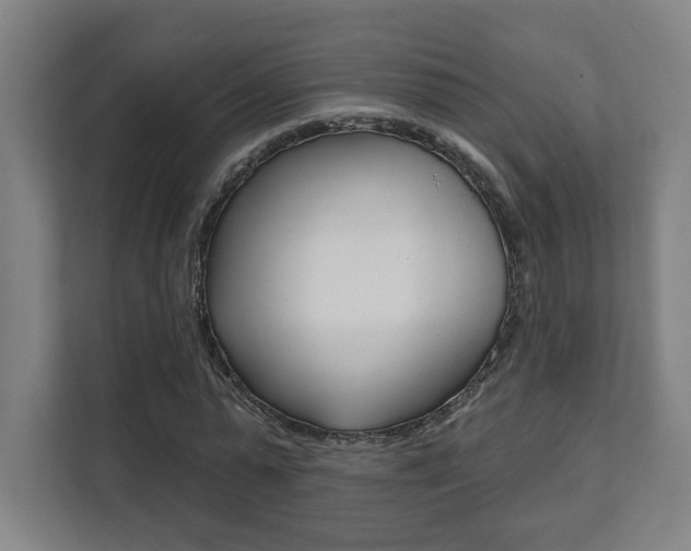 X0000112080775200908041010
