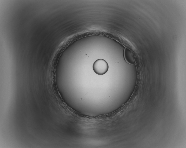 X0000112080776200908041010