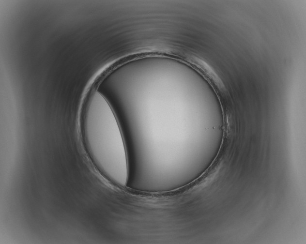 X0000112080780200908041010