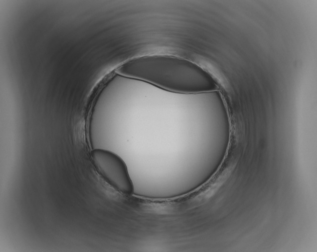 X0000112080781200908041010