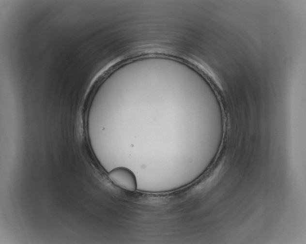 X0000112080782200908041010