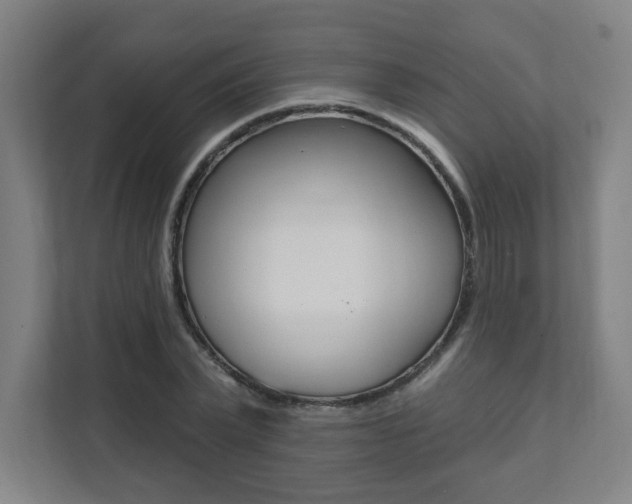 X0000112080783200908041010
