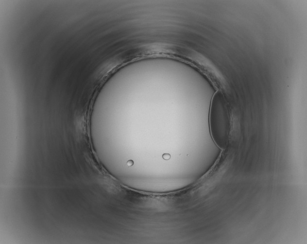 X0000112080785200908041010