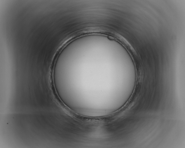 X0000112080786200908041010