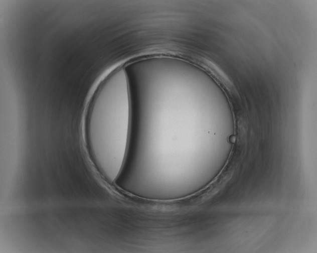 X0000112080788200908041010