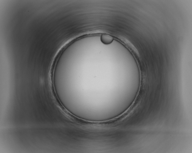 X0000112080789200908041010