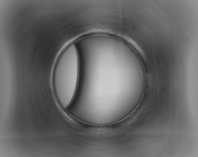 X0000112080791200908041009