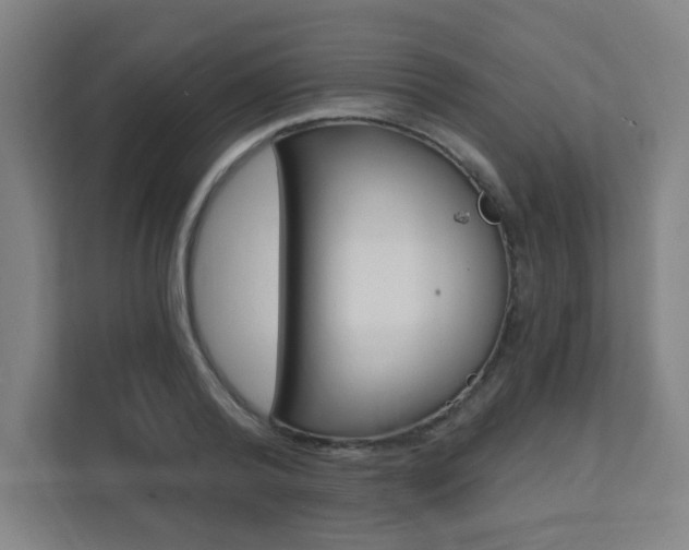 X0000112080792200908041009
