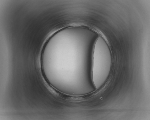 X0000112080795200908041009