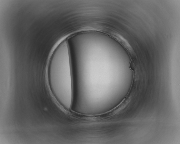 X0000112080796200908041009