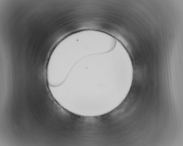 X0000112080807200908041009