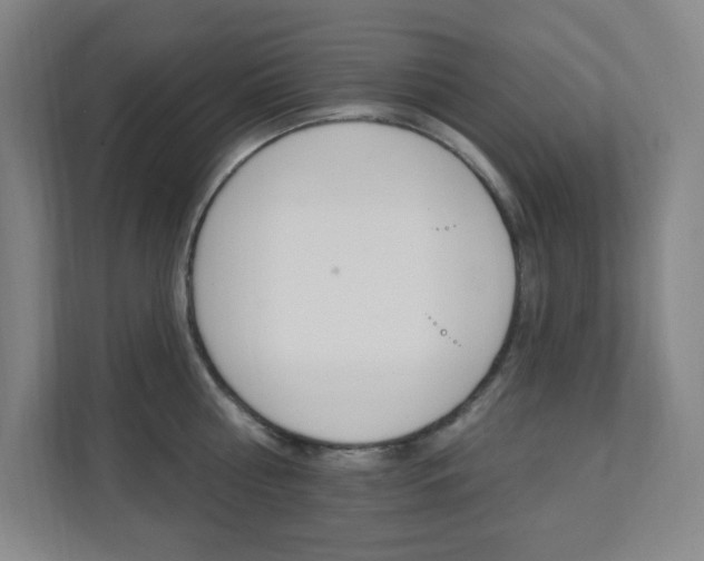 X0000112080810200908041009