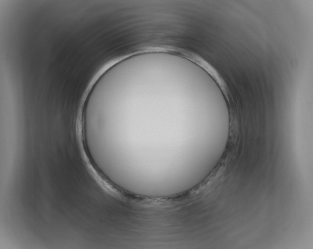 X0000112080811200908041009