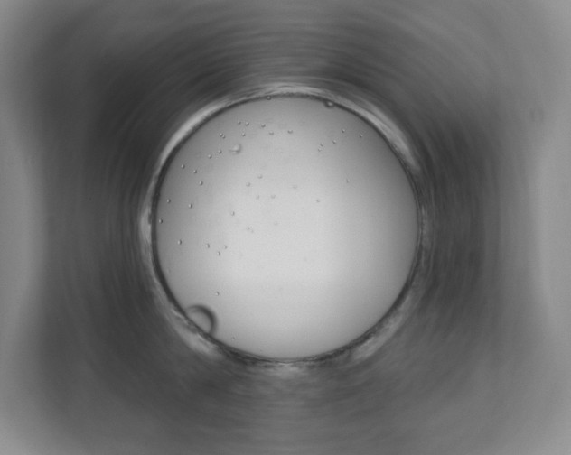 X0000112080814200908041009