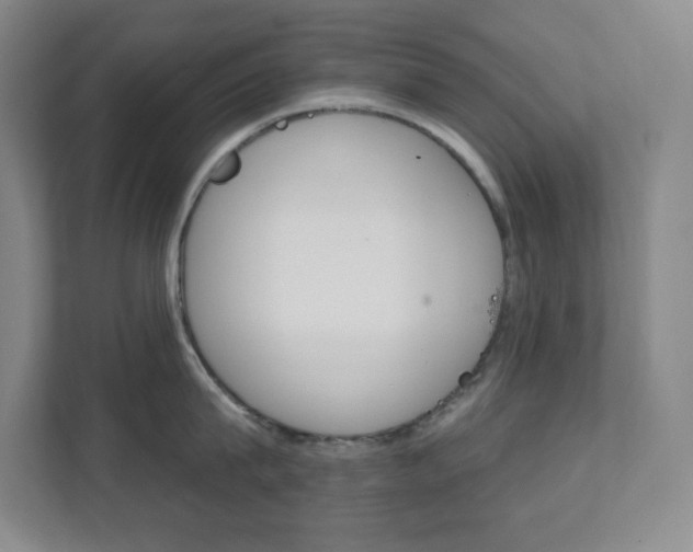X0000112080815200908041009