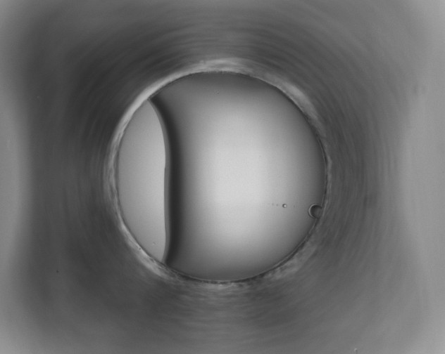 X0000112080816200908041009