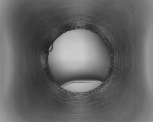 X0000112080818200908041009