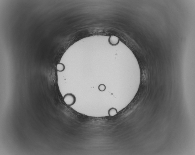 X0000112080820200908041009