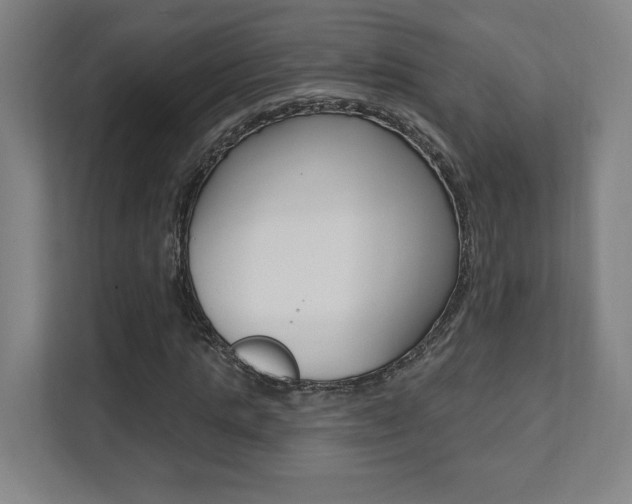 X0000112080821200908041009