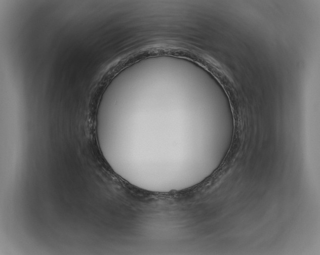 X0000112080822200908041009