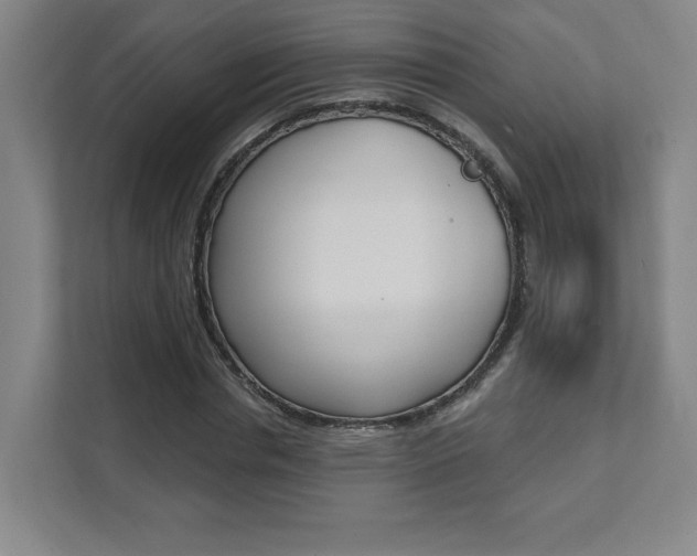 X0000112080826200908041009