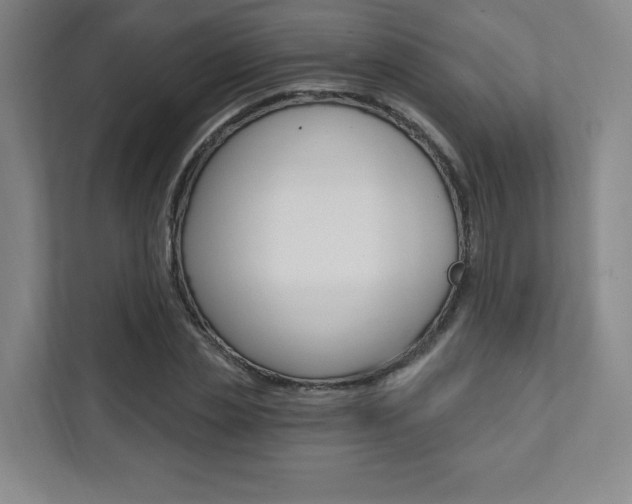 X0000112080829200908041009