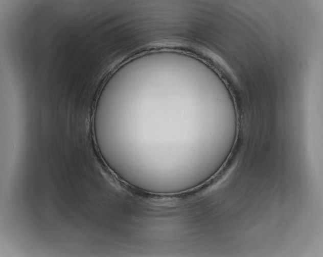 X0000112080833200908041009