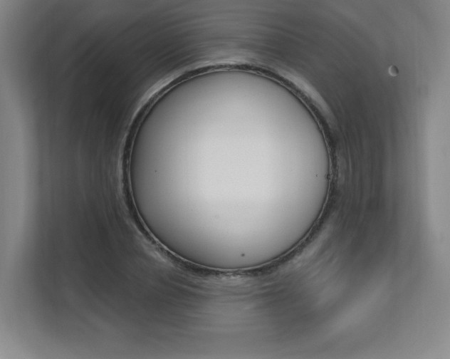 X0000112080834200908041009