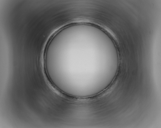X0000112080840200908041009