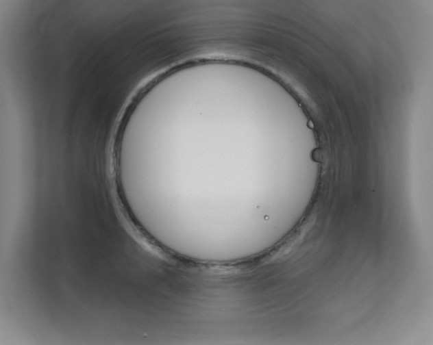 X0000112080848200908041009