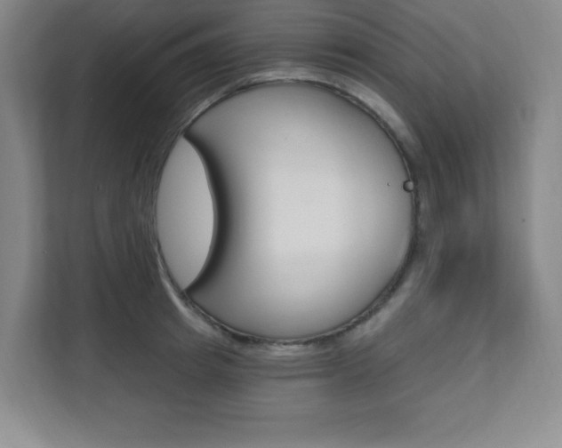 X0000112080849200908041009