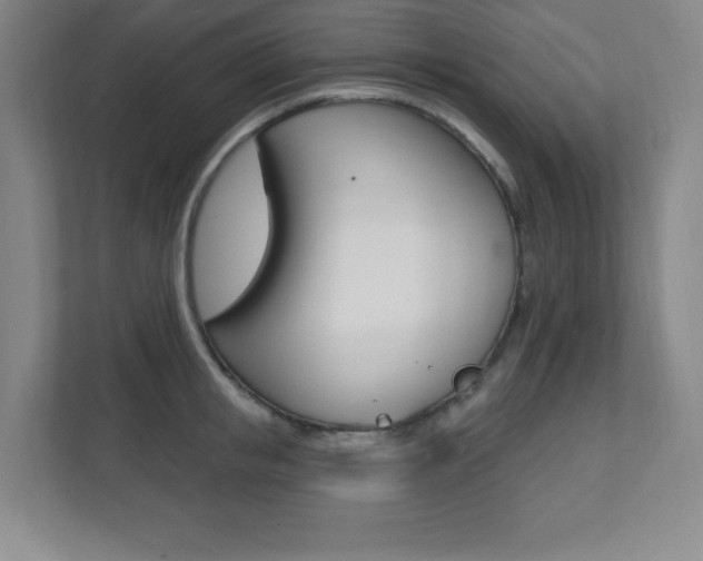 X0000112080853200908041009