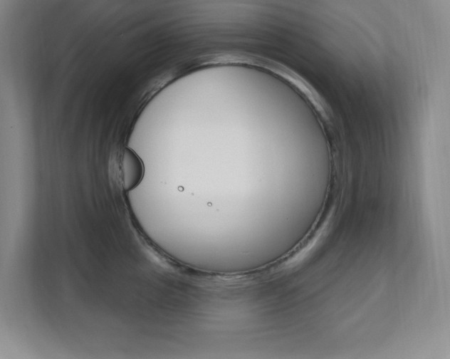 X0000112080857200908041009