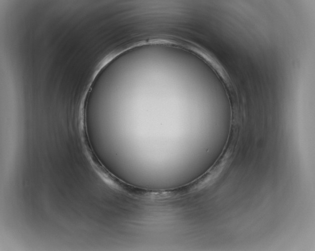 X0000112080858200908041009