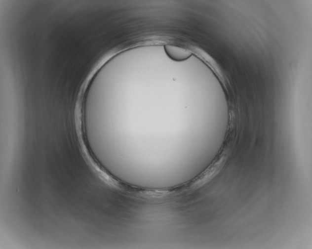 X0000112080859200908041009