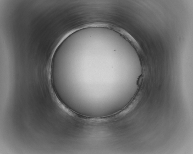 X0000112080860200908041009