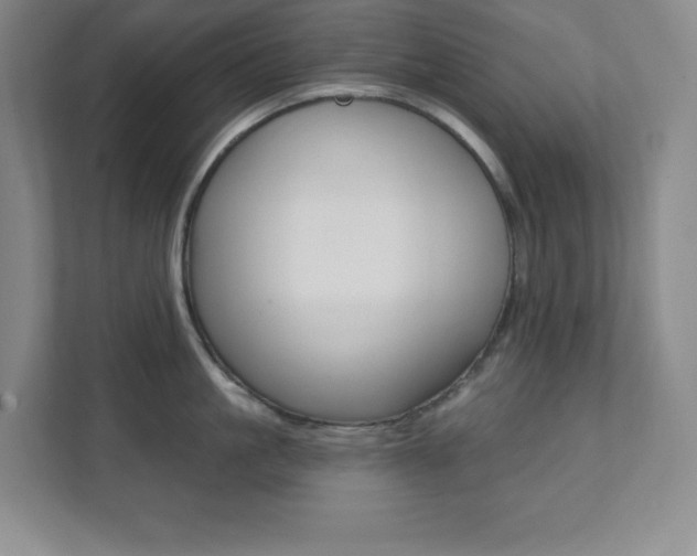 X0000112080861200908041009