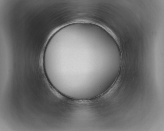 X0000112080862200908041009