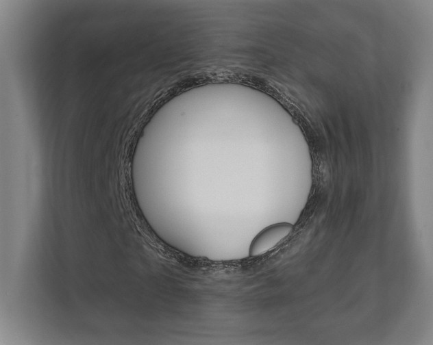 X0000112080865200908041009